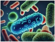 Food preservation prevent food from getting spoiled due to bacteria. (Image via Vecteezy)